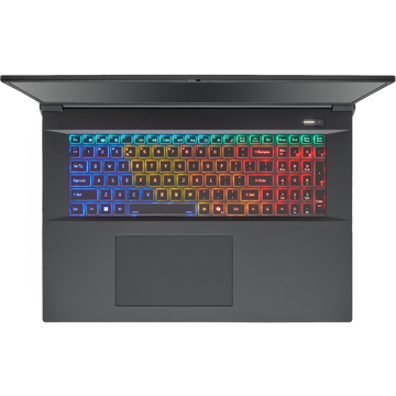 SAGER NP9581S (Clevo X580WNS-G) Gaming Laptop