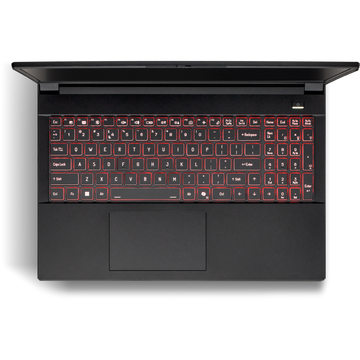 SAGER NP5251M (Clevo V255RNM) Gaming Laptop